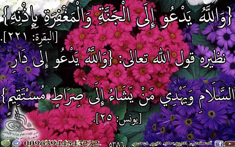 {وَاللَّهُ يَدْعُو إِلَى الْجَنَّةِ وَالْمَغْفِرَةِ بِإِذْنِهِ} [البقرة: 221]. يوم السبت.